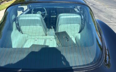 Chevrolet-Corvette-1978-Black-amp-Silver-Grey-12