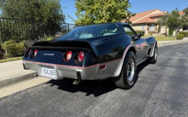 Chevrolet-Corvette-1978-Black-amp-Silver-Grey-13