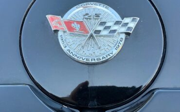 Chevrolet-Corvette-1978-Black-amp-Silver-Grey-14