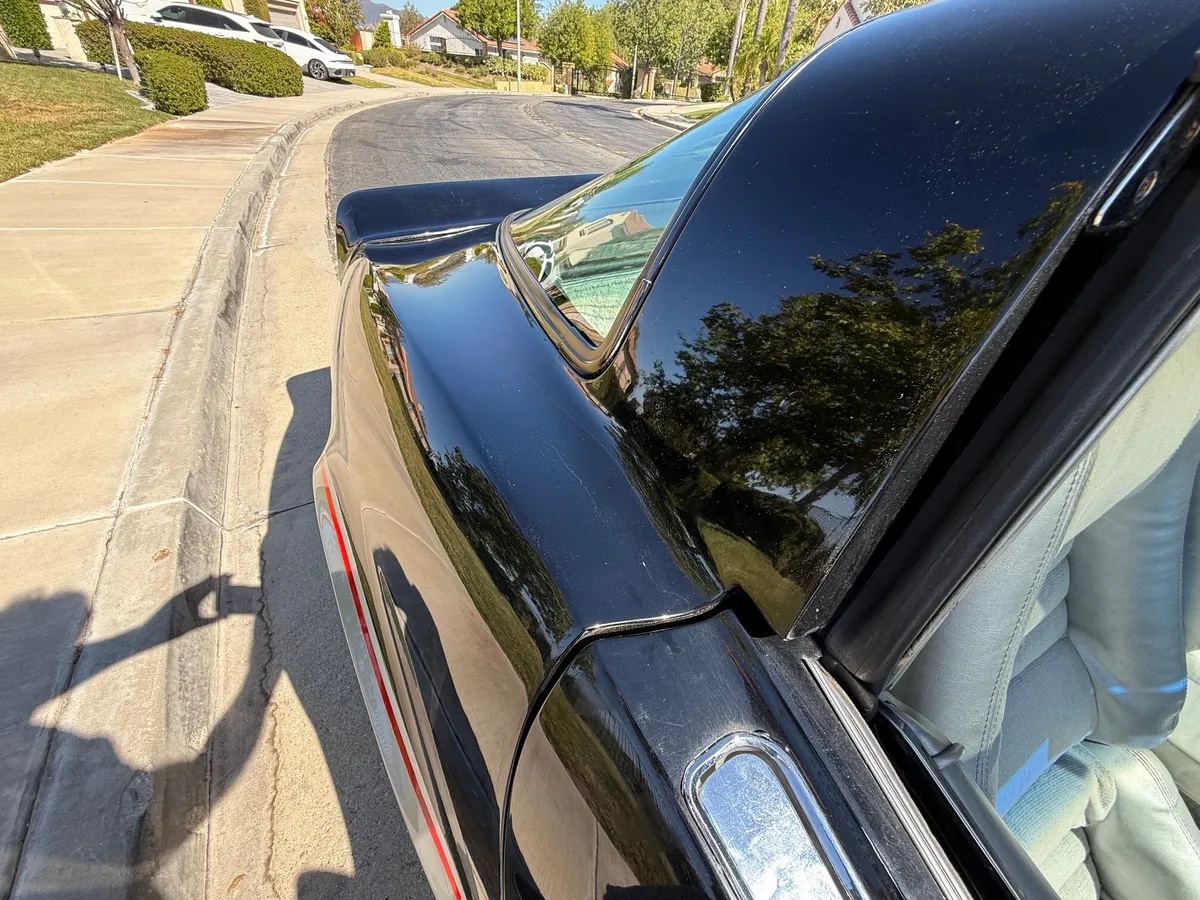 Chevrolet-Corvette-1978-Black-amp-Silver-Grey-19