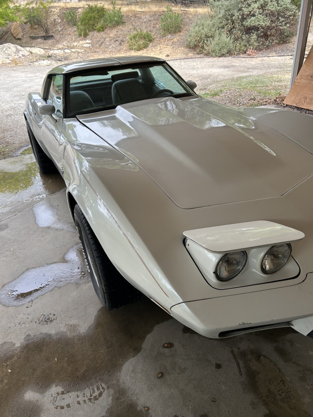 Chevrolet-Corvette-1978-Coupe-7