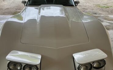 Chevrolet-Corvette-1978-Coupe-8