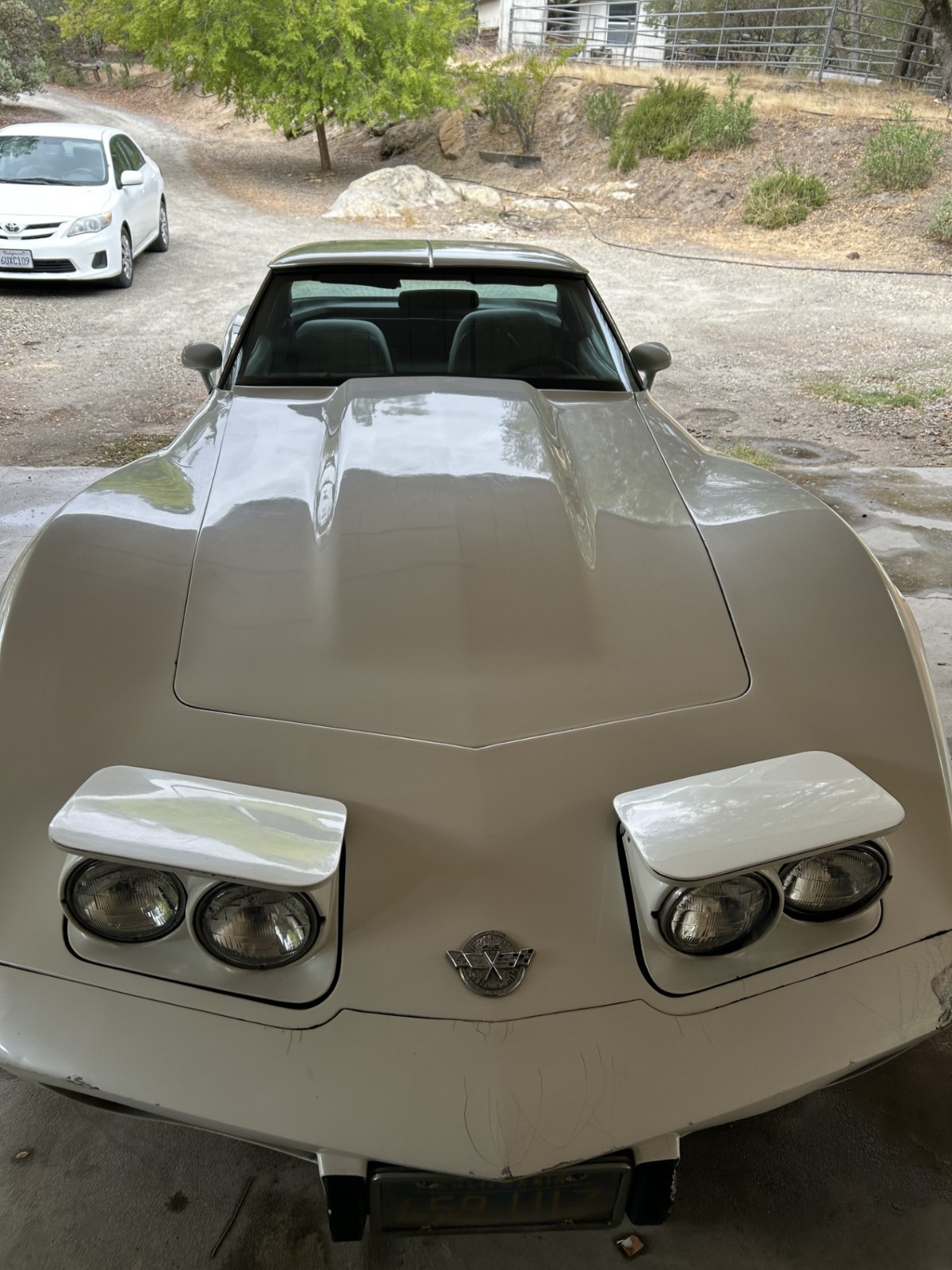 Chevrolet-Corvette-1978-Coupe-8
