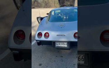 Chevrolet-Corvette-1978-SilverGray-Dark-Blue-1