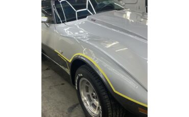 Chevrolet-Corvette-1978-SilverGray-Dark-Blue-14