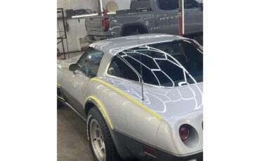 Chevrolet-Corvette-1978-SilverGray-Dark-Blue-16