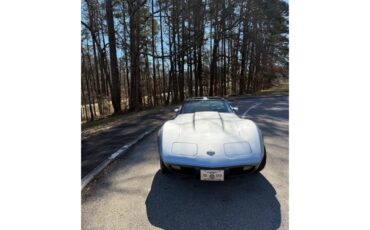 Chevrolet-Corvette-1978-SilverGray-Dark-Blue-3