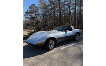 Chevrolet-Corvette-1978-SilverGray-Dark-Blue