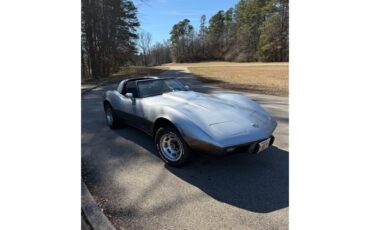 Chevrolet-Corvette-1978-SilverGray-Dark-Blue-4