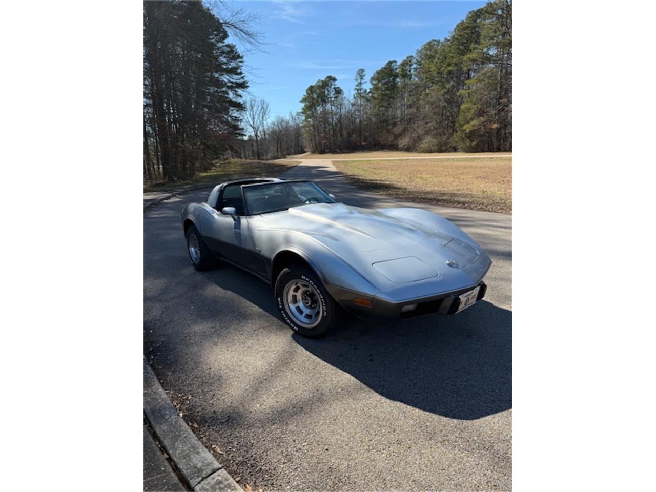 Chevrolet-Corvette-1978-SilverGray-Dark-Blue-4