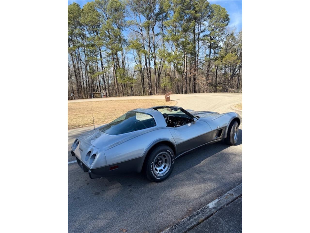 Chevrolet-Corvette-1978-SilverGray-Dark-Blue-5
