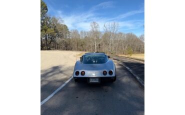 Chevrolet-Corvette-1978-SilverGray-Dark-Blue-6