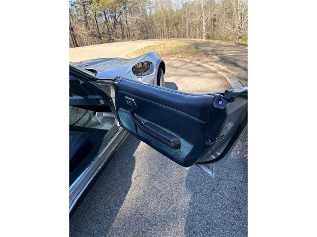 Chevrolet-Corvette-1978-SilverGray-Dark-Blue-7