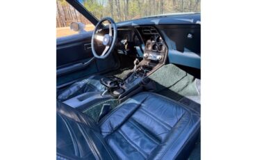 Chevrolet-Corvette-1978-SilverGray-Dark-Blue-8