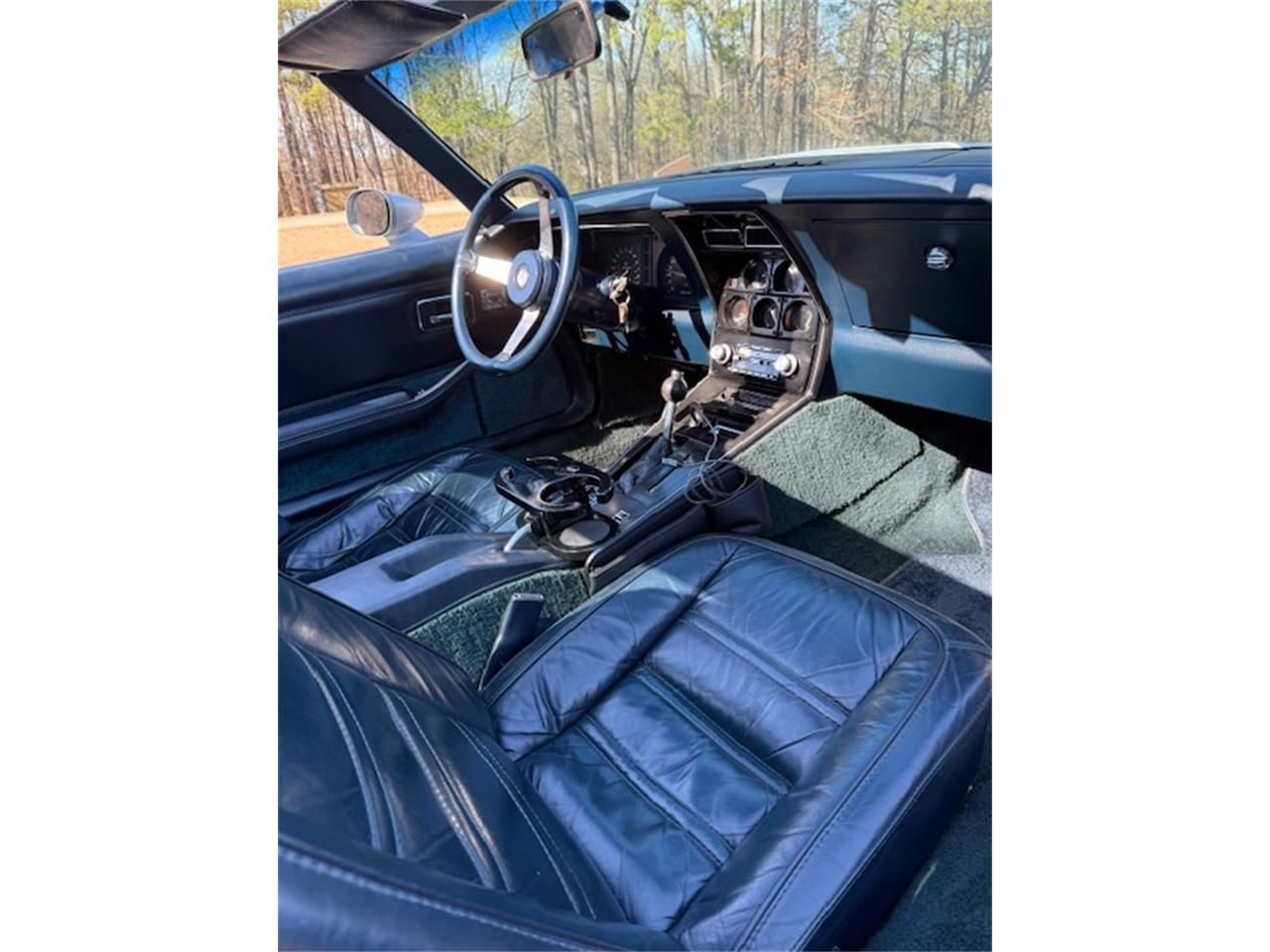 Chevrolet-Corvette-1978-SilverGray-Dark-Blue-8