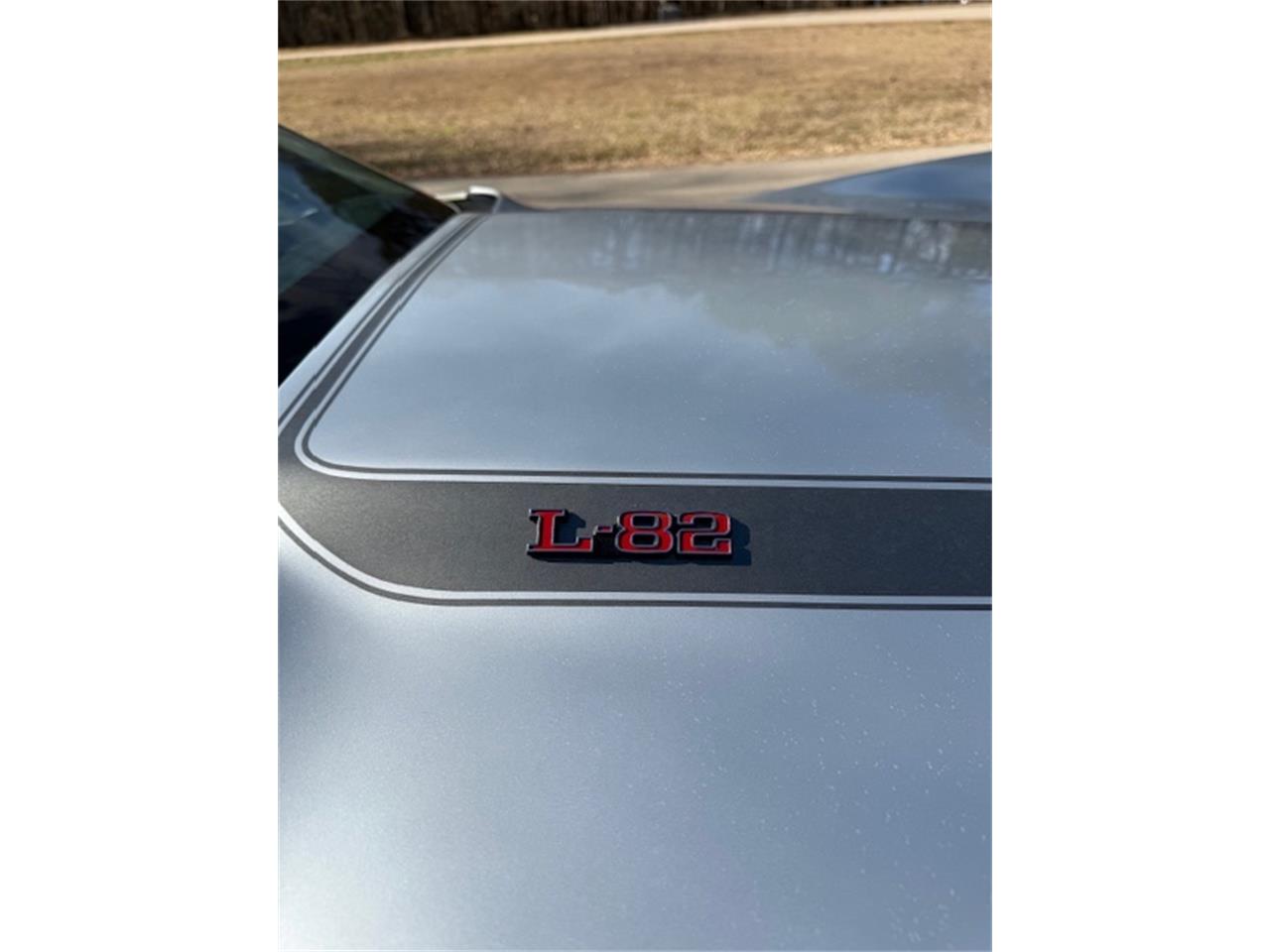 Chevrolet-Corvette-1978-SilverGray-Dark-Blue-9