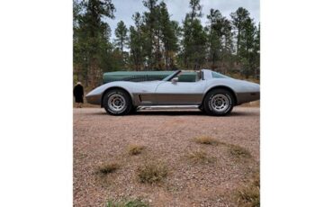 Chevrolet-Corvette-1978-Two-Tone-Oyster-1