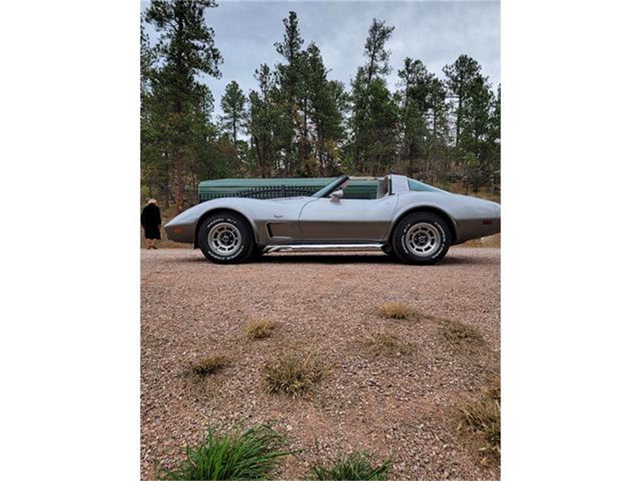 Chevrolet-Corvette-1978-Two-Tone-Oyster-1