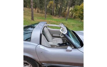 Chevrolet-Corvette-1978-Two-Tone-Oyster-10