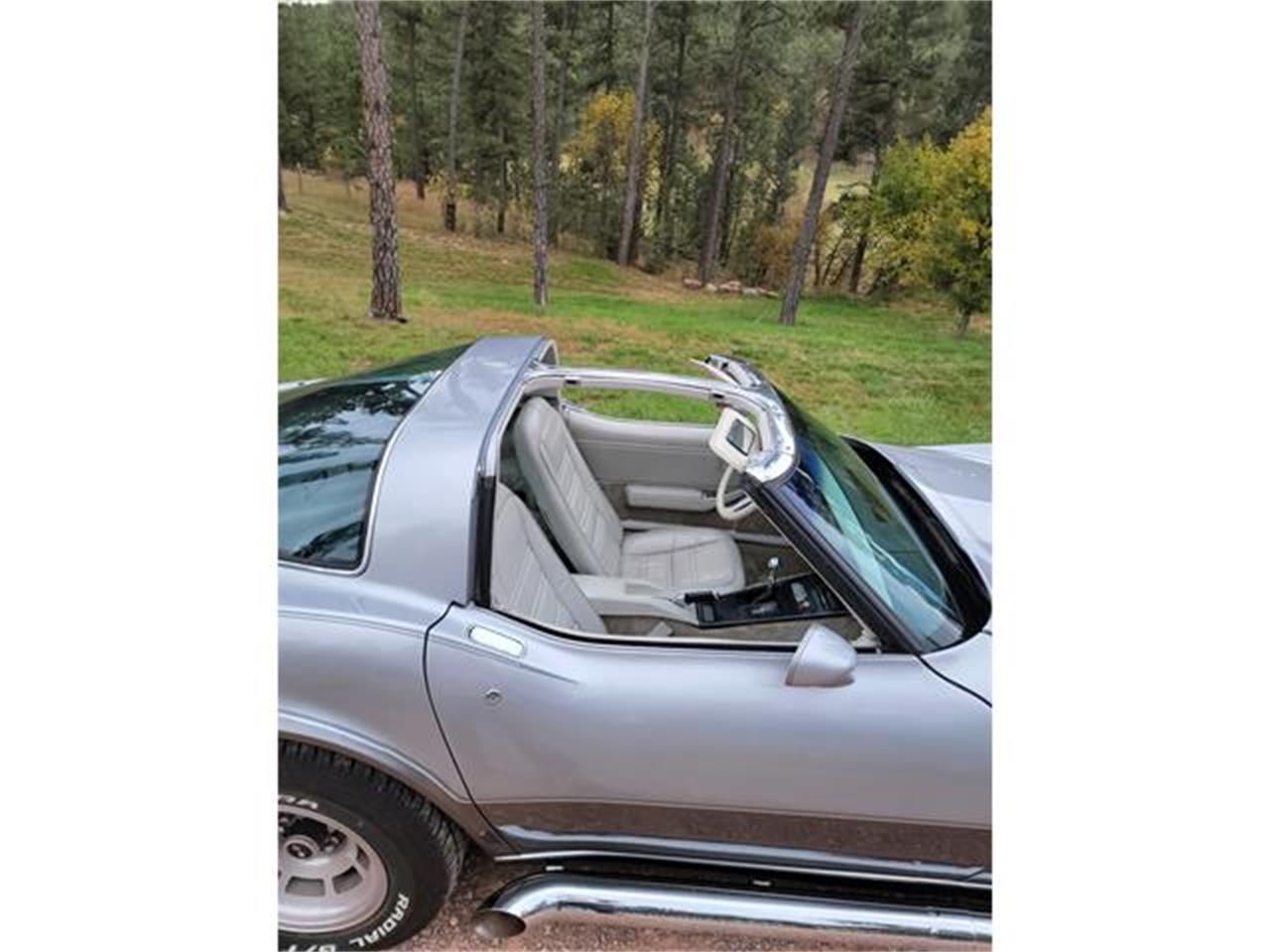 Chevrolet-Corvette-1978-Two-Tone-Oyster-10