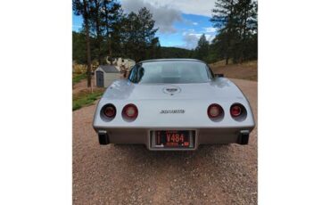Chevrolet-Corvette-1978-Two-Tone-Oyster-11