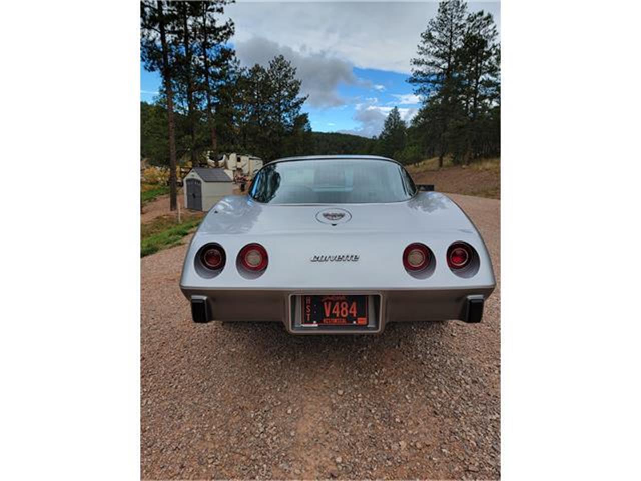 Chevrolet-Corvette-1978-Two-Tone-Oyster-11