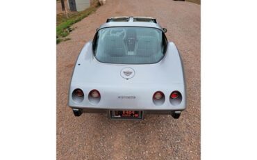 Chevrolet-Corvette-1978-Two-Tone-Oyster-12
