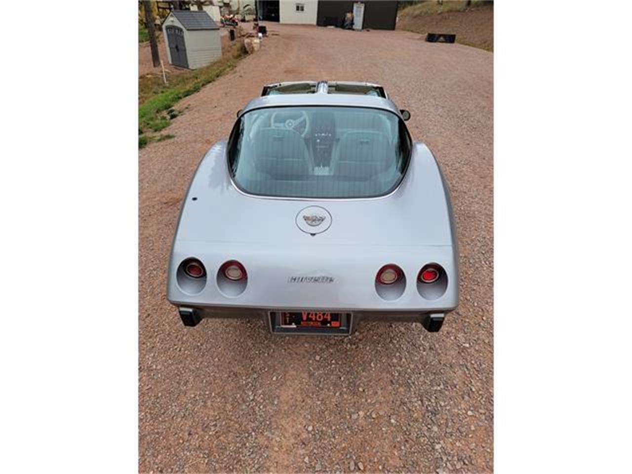 Chevrolet-Corvette-1978-Two-Tone-Oyster-12