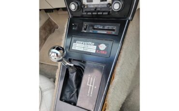 Chevrolet-Corvette-1978-Two-Tone-Oyster-14