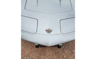 Chevrolet-Corvette-1978-Two-Tone-Oyster-15