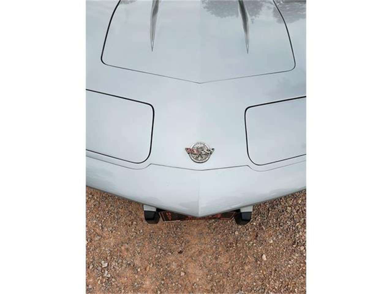 Chevrolet-Corvette-1978-Two-Tone-Oyster-15