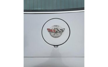 Chevrolet-Corvette-1978-Two-Tone-Oyster-16