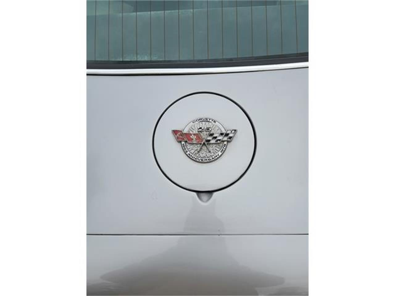 Chevrolet-Corvette-1978-Two-Tone-Oyster-16