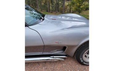 Chevrolet-Corvette-1978-Two-Tone-Oyster-17