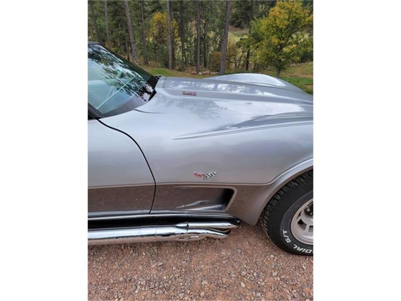 Chevrolet-Corvette-1978-Two-Tone-Oyster-17