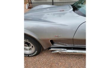 Chevrolet-Corvette-1978-Two-Tone-Oyster-18