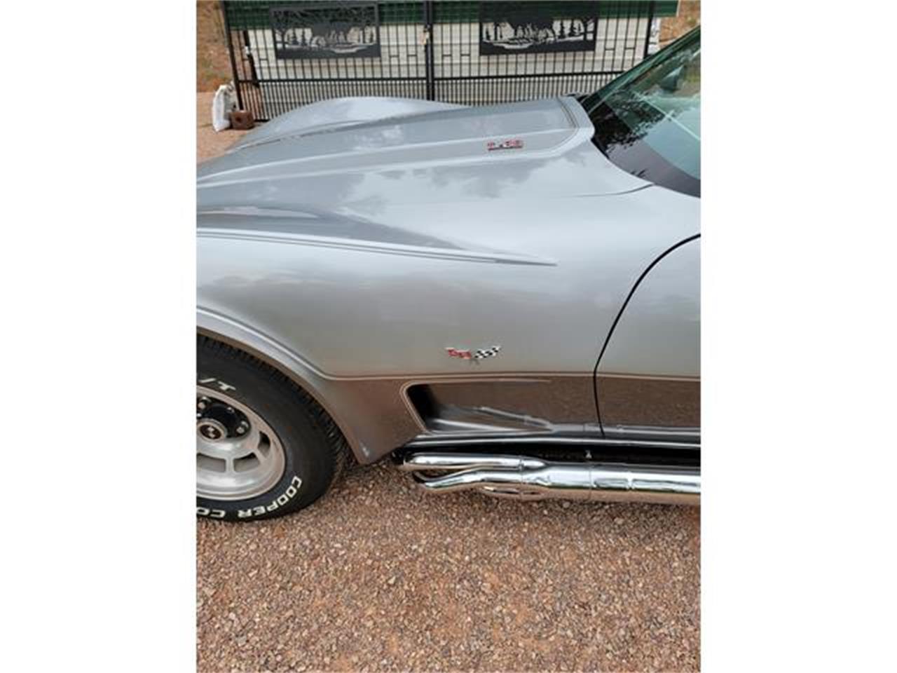 Chevrolet-Corvette-1978-Two-Tone-Oyster-18