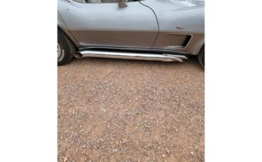 Chevrolet-Corvette-1978-Two-Tone-Oyster-19