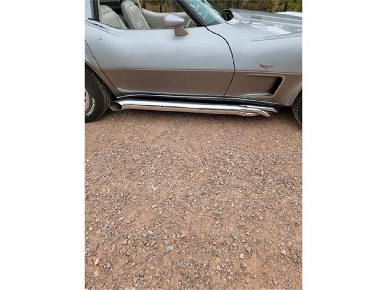 Chevrolet-Corvette-1978-Two-Tone-Oyster-19