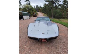 Chevrolet-Corvette-1978-Two-Tone-Oyster-2