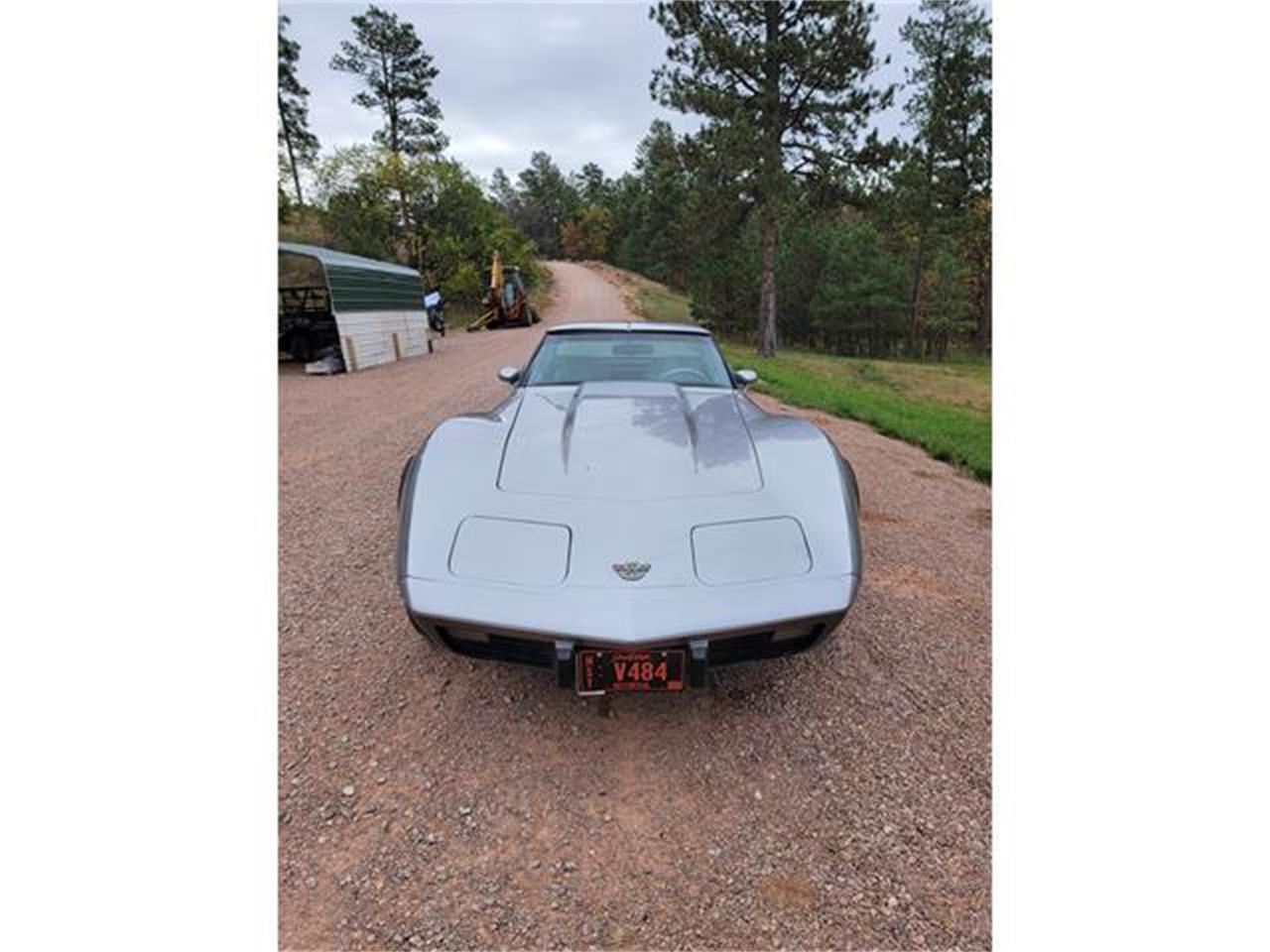 Chevrolet-Corvette-1978-Two-Tone-Oyster-2