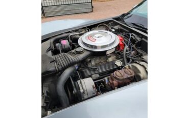 Chevrolet-Corvette-1978-Two-Tone-Oyster-21