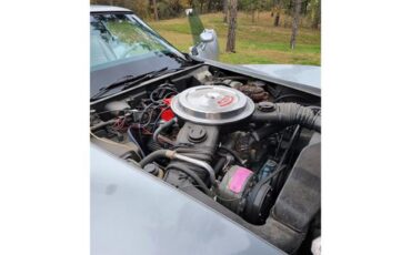 Chevrolet-Corvette-1978-Two-Tone-Oyster-22