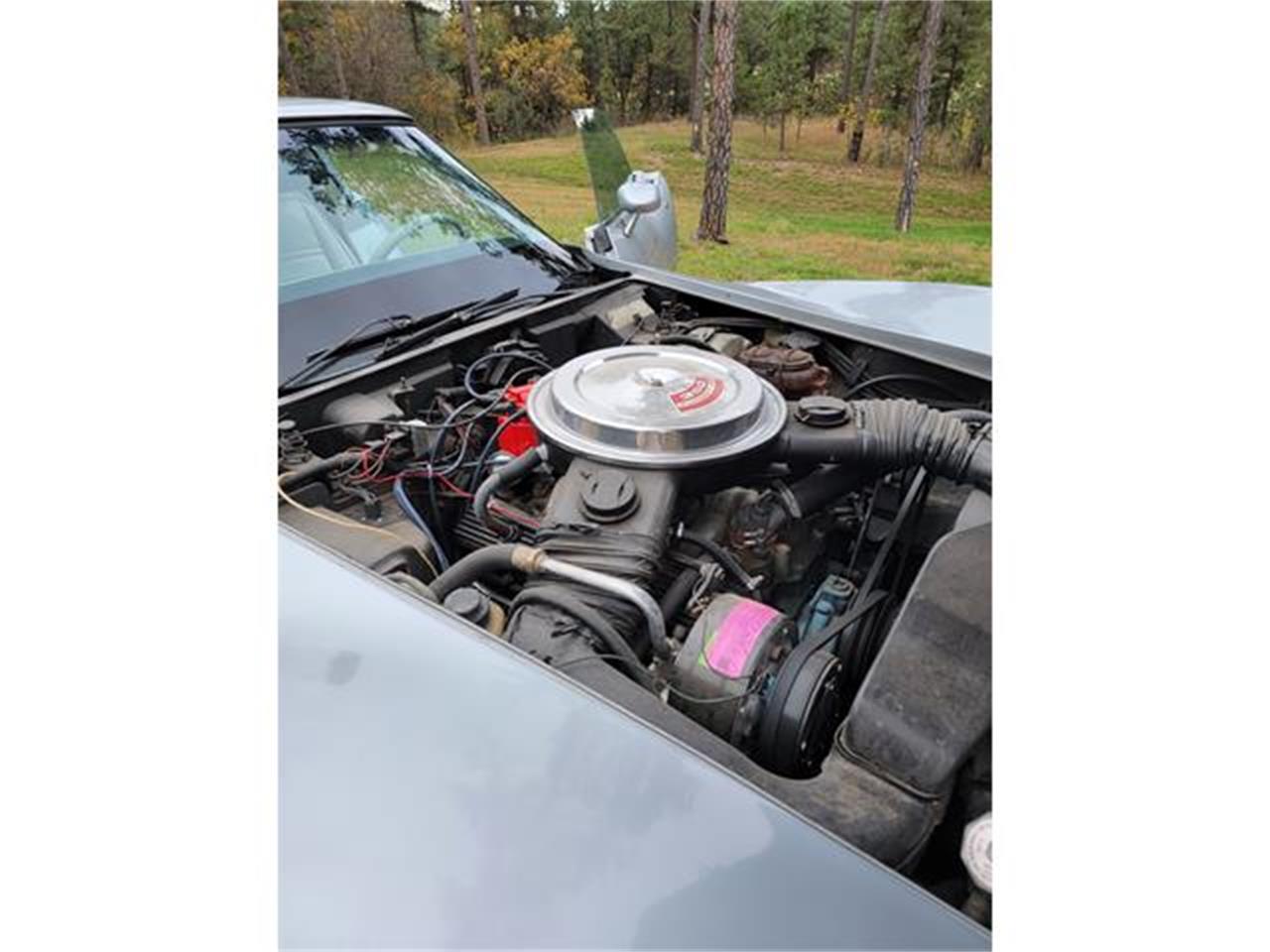 Chevrolet-Corvette-1978-Two-Tone-Oyster-22