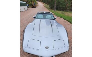Chevrolet-Corvette-1978-Two-Tone-Oyster-3