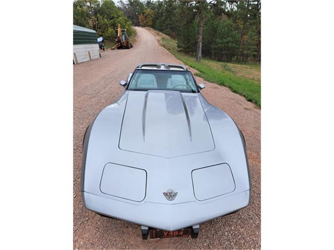 Chevrolet-Corvette-1978-Two-Tone-Oyster-3