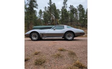 Chevrolet-Corvette-1978-Two-Tone-Oyster