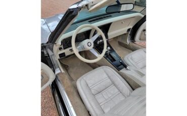 Chevrolet-Corvette-1978-Two-Tone-Oyster-4