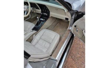 Chevrolet-Corvette-1978-Two-Tone-Oyster-5