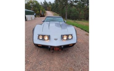 Chevrolet-Corvette-1978-Two-Tone-Oyster-7